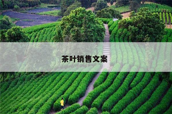 茶叶销售文案 