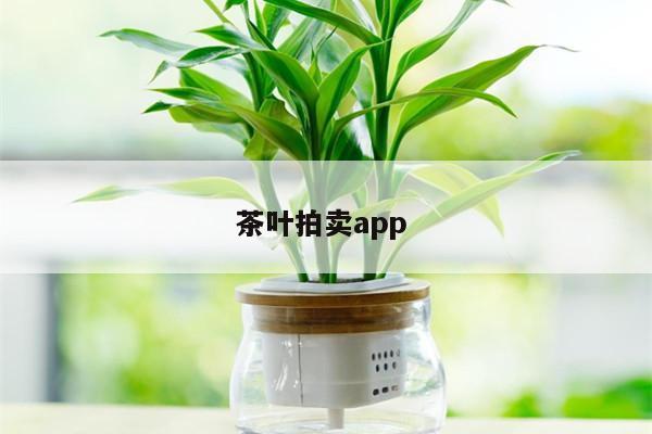 茶叶拍卖app 