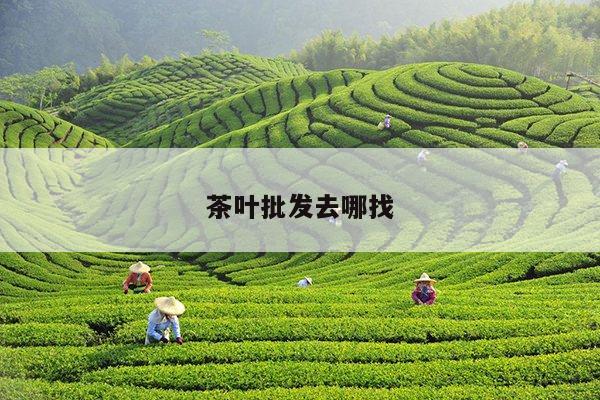 茶叶批发去哪找