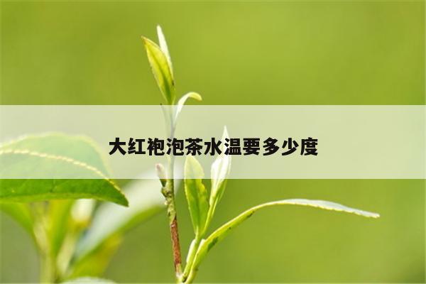 大红袍泡茶水温要多少度