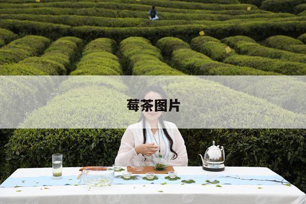 莓茶图片