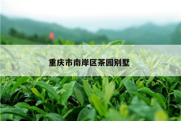 重庆市南岸区茶园别墅 