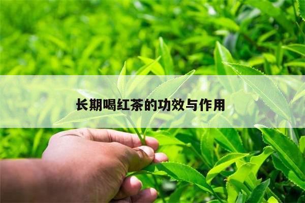 长期喝红茶的功效与作用 