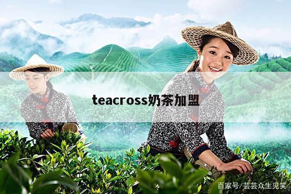 teacross奶茶加盟