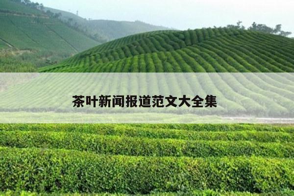 茶叶新闻报道范文大全集 