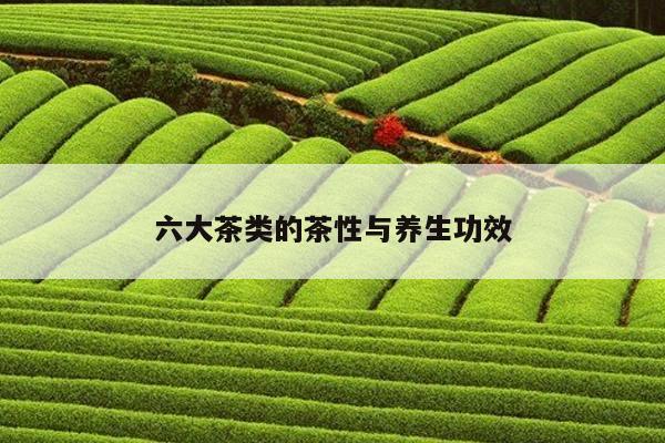 六大茶类的茶性与养生功效