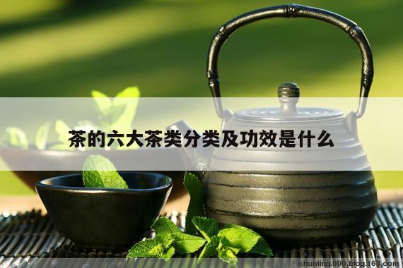 茶的六大茶类分类及功效是什么