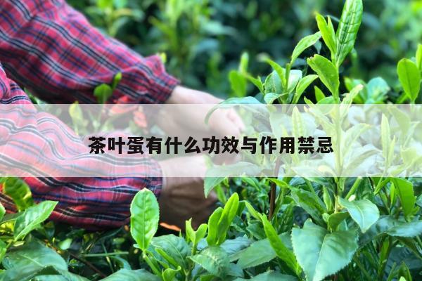 茶叶蛋有什么功效与作用禁忌