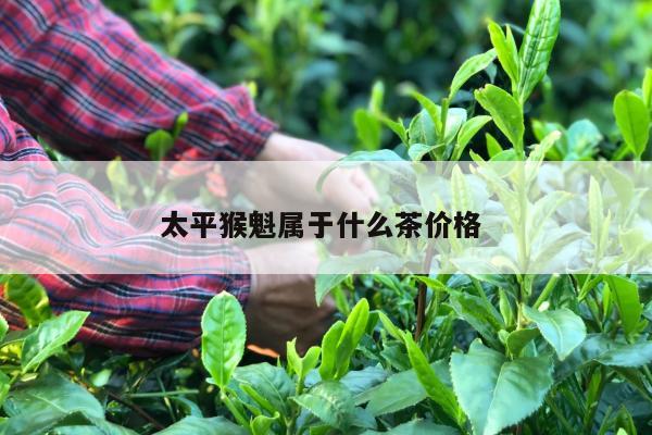 太平猴魁属于什么茶价格 