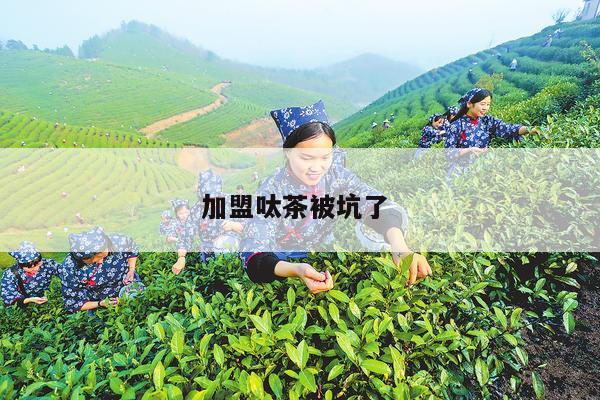 加盟呔茶被坑了 