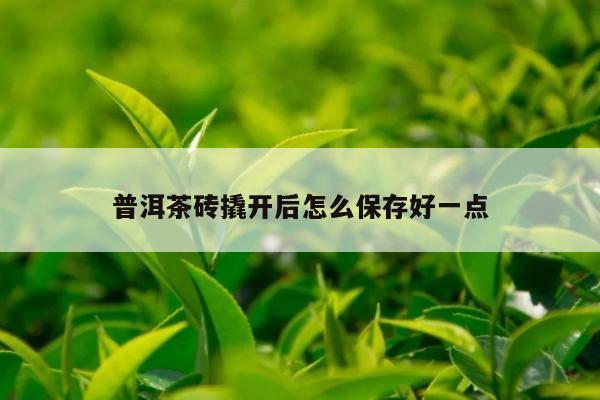 普洱茶砖撬开后怎么保存好一点