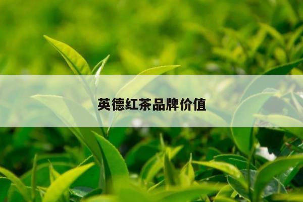 英德红茶品牌价值