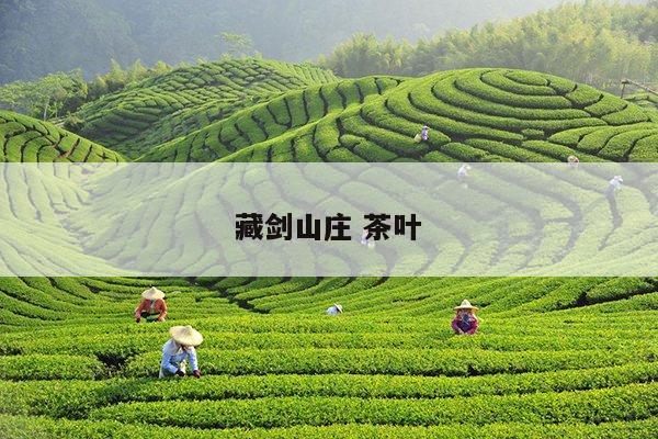 藏剑山庄 茶叶