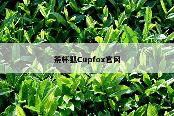 茶杯狐Cupfox官网