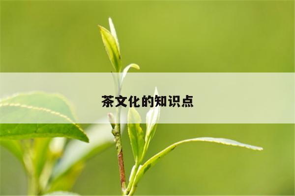 茶文化的知识点