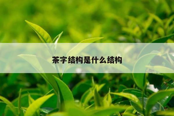 茶字结构是什么结构