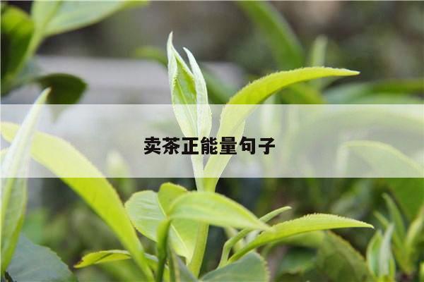 卖茶正能量句子 