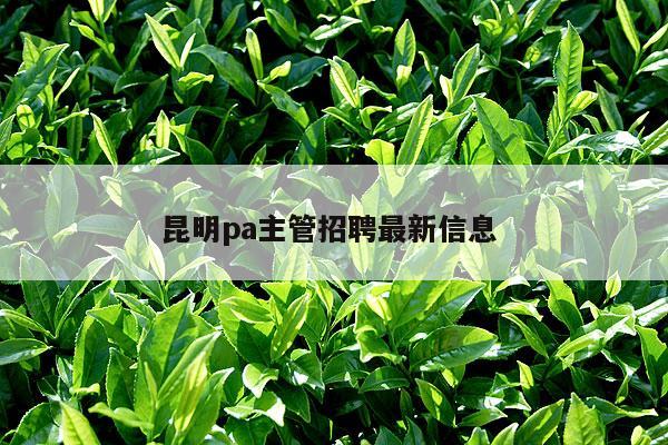 昆明pa主管招聘最新信息 