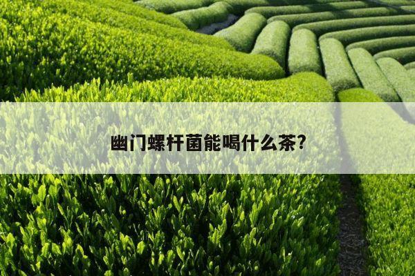 幽门螺杆菌能喝什么茶?