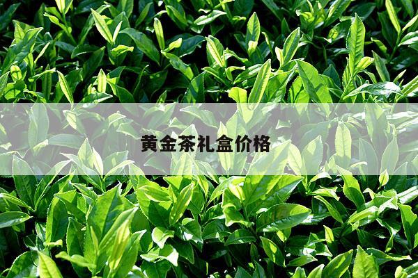 黄金茶礼盒价格 