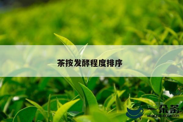 茶按发酵程度排序 