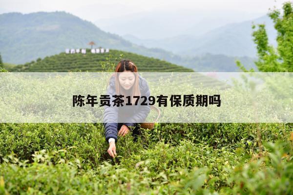 陈年贡茶1729有保质期吗