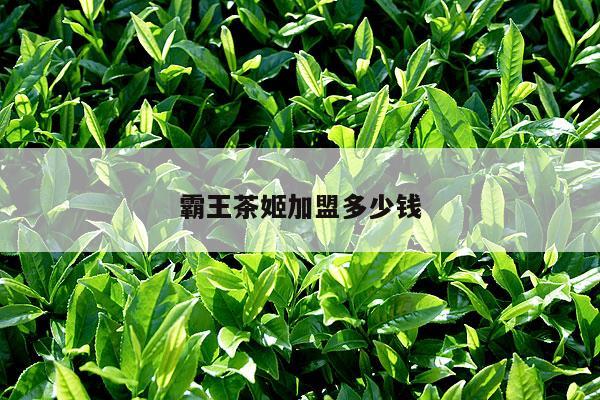 霸王茶姬加盟多少钱