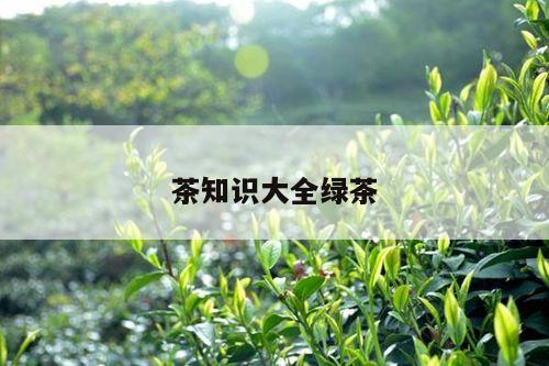 茶知识大全绿茶