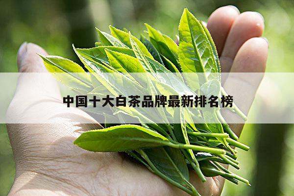 中国十大白茶品牌最新排名榜