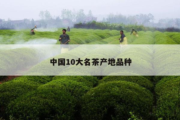 中国10大名茶产地品种