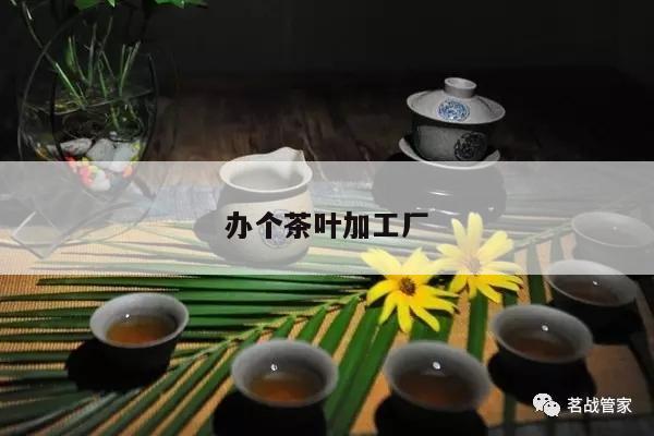 办个茶叶加工厂