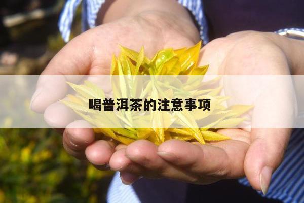 喝普洱茶的注意事项 