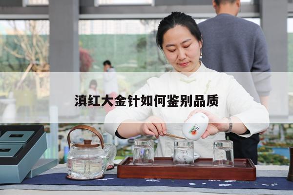 滇红大金针如何鉴别品质