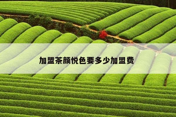 加盟茶颜悦色要多少加盟费 