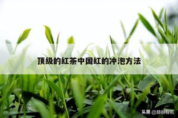 顶级的红茶中国红的冲泡方法