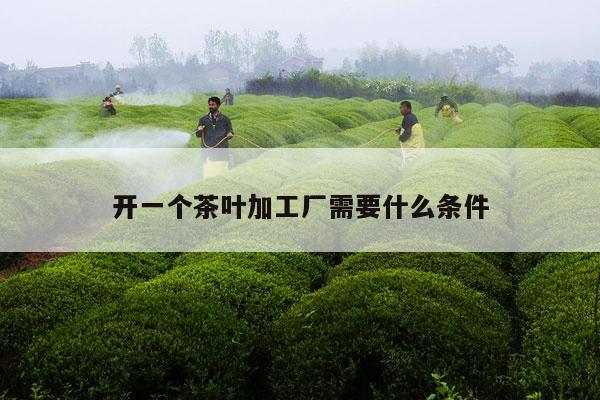 开一个茶叶加工厂需要什么条件