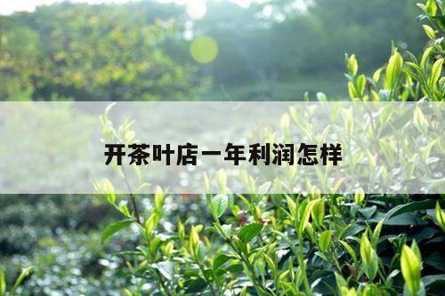 开茶叶店一年利润怎样