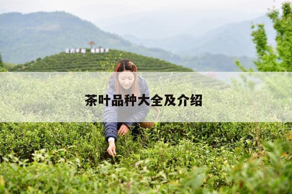 茶叶品种大全及介绍 