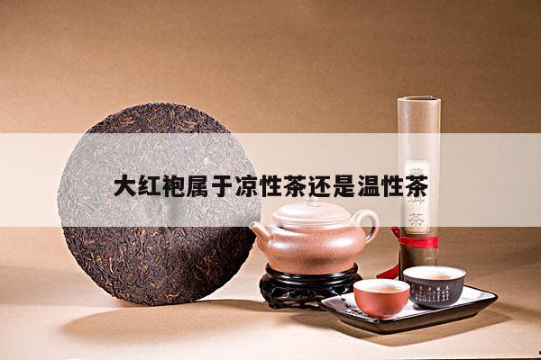 大红袍属于凉性茶还是温性茶