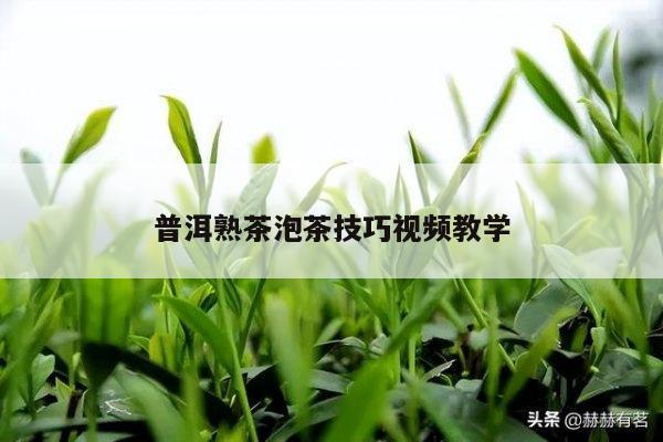 普洱熟茶泡茶技巧视频教学