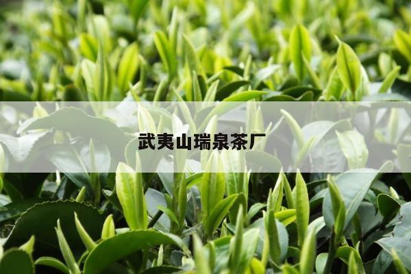 武夷山瑞泉茶厂 