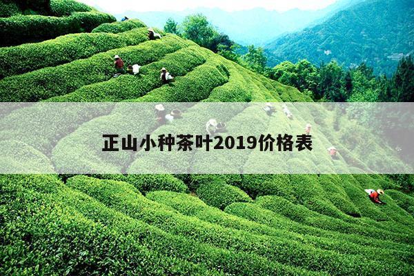 正山小种茶叶2019价格表