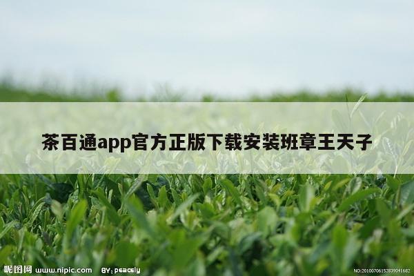 茶百通app官方正版下载安装班章王天子