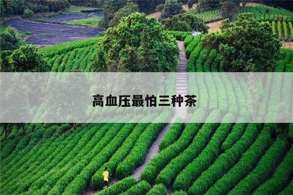 高血压最怕三种茶 