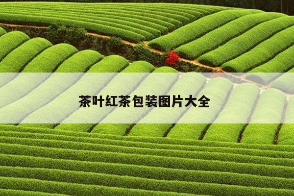 茶叶红茶包装图片大全 