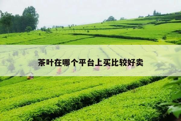 茶叶在哪个平台上买比较好卖