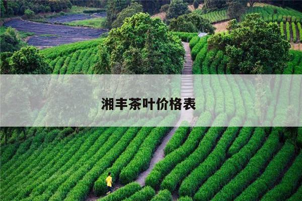 湘丰茶叶价格表 