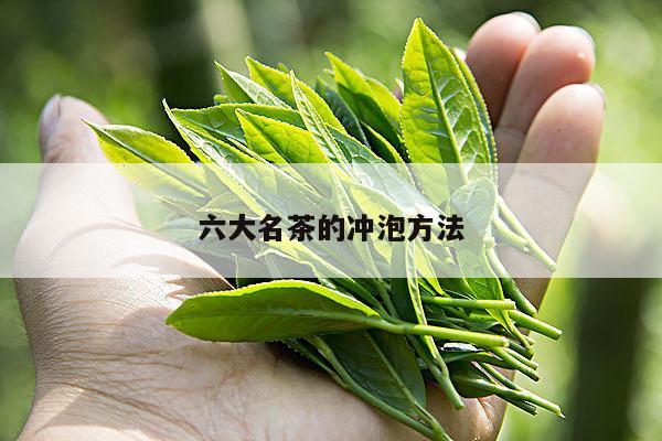 六大名茶的冲泡方法