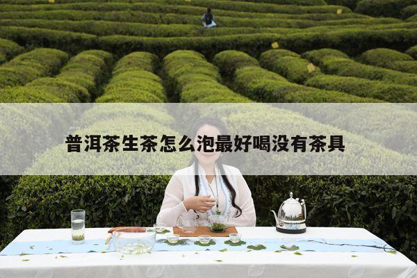 普洱茶生茶怎么泡最好喝没有茶具 