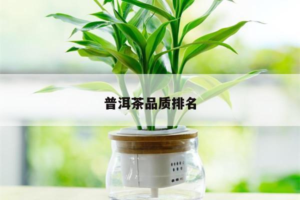 普洱茶品质排名